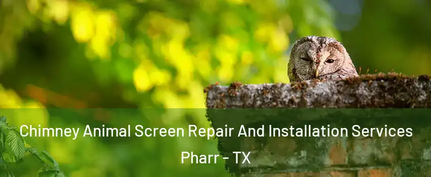  Chimney Animal Screen Repair And Installation Services Pharr - TX