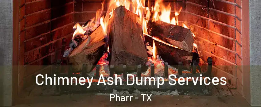  Chimney Ash Dump Services Pharr - TX