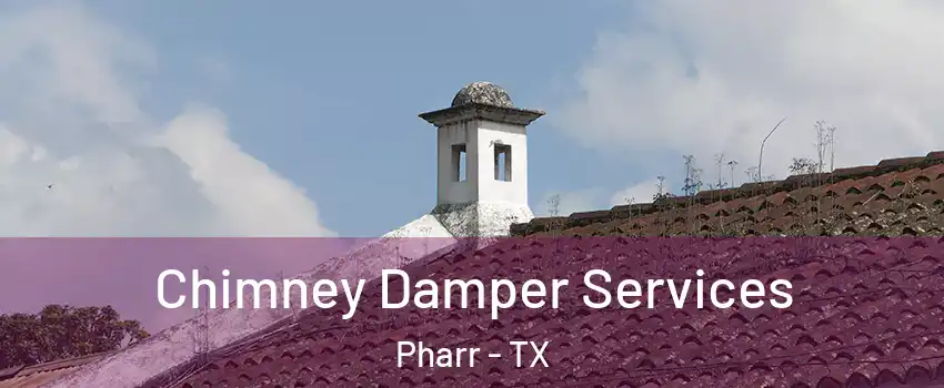  Chimney Damper Services Pharr - TX