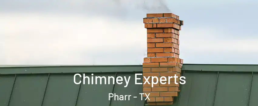  Chimney Experts Pharr - TX