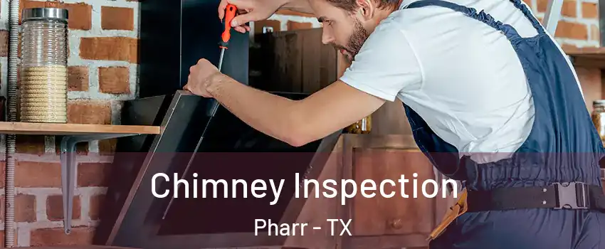  Chimney Inspection Pharr - TX