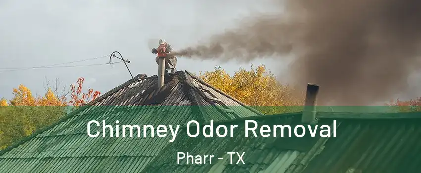  Chimney Odor Removal Pharr - TX
