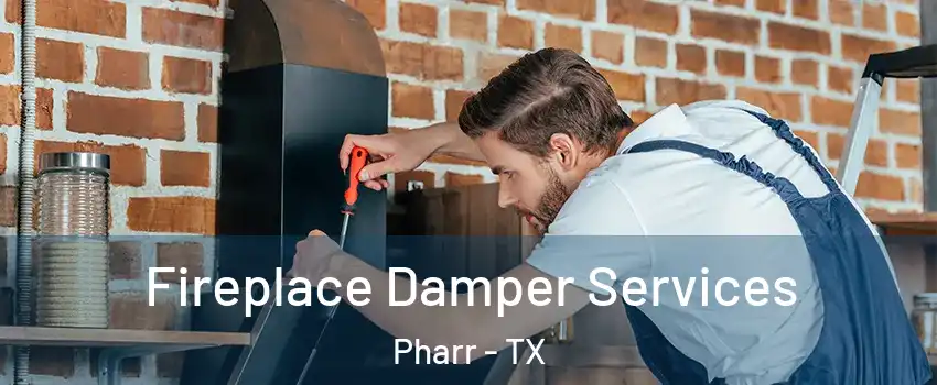  Fireplace Damper Services Pharr - TX