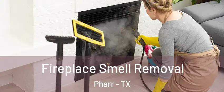  Fireplace Smell Removal Pharr - TX