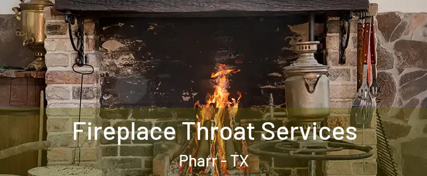  Fireplace Throat Services Pharr - TX
