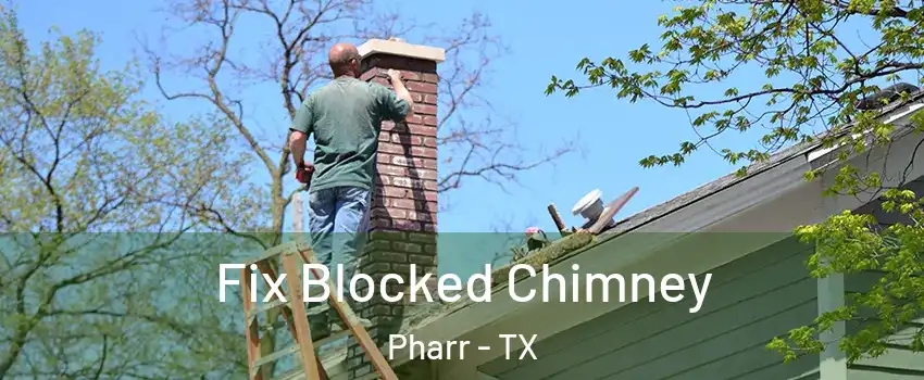  Fix Blocked Chimney Pharr - TX