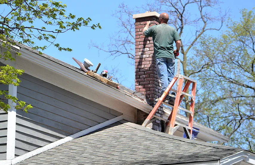 Chimney & Fireplace Inspections Services in Pharr, TX