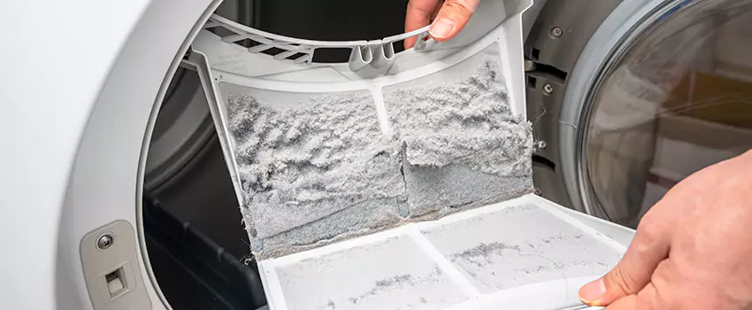 Best Dryer Lint Removal Company in Pharr, Texas