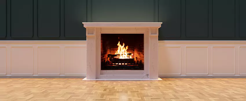 Napoleon Electric Fireplaces Inspection Service in Pharr, Texas