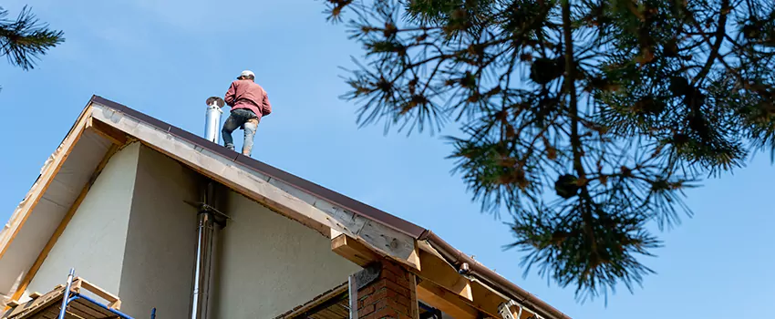 Birds Removal Contractors from Chimney in Pharr, TX