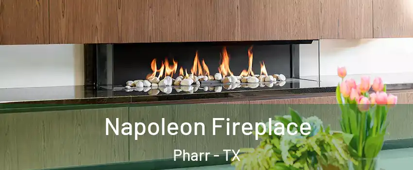  Napoleon Fireplace Pharr - TX