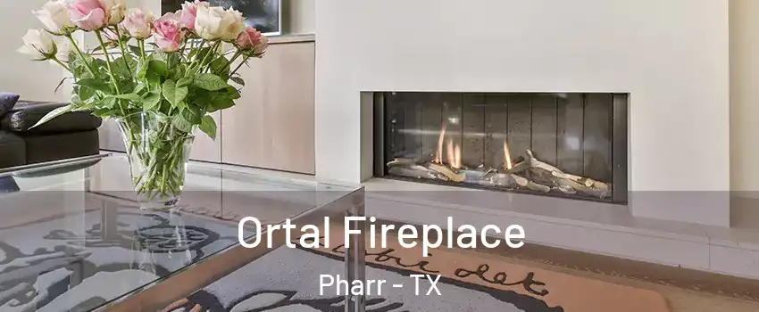  Ortal Fireplace Pharr - TX
